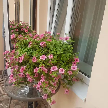 Golden Rose ! * Lviv