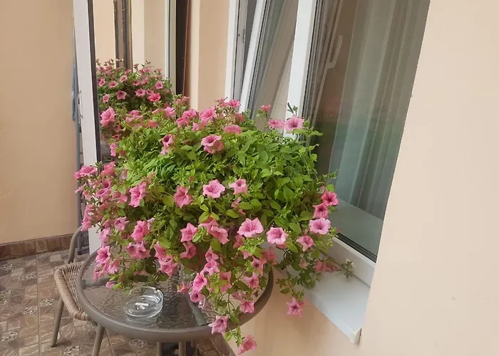 Golden Rose ! * לבוב